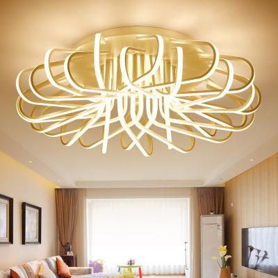 Pendulum Ceiling Lighting in Kitchen Bedroom Living Rooom Lighting Fxitures (WH-MA-89)