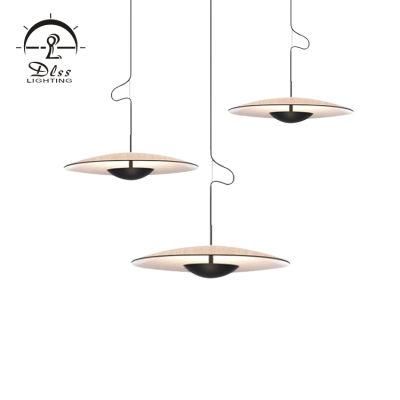 Hot Sale Metal LED Chandeliers Lamp for Indoor Decor Pendant Light