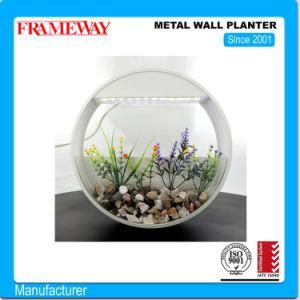 Custom Manufacturing Home Deco Metal Wall Planter with Arylic Water Tank Powder Coated with LED Lamp