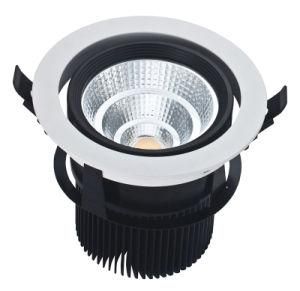 LED Light/Lamp 20W/10W LED Ceiling Light