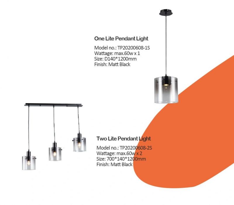 Two Lite GU10 Smoke Glass Pendant Lamp