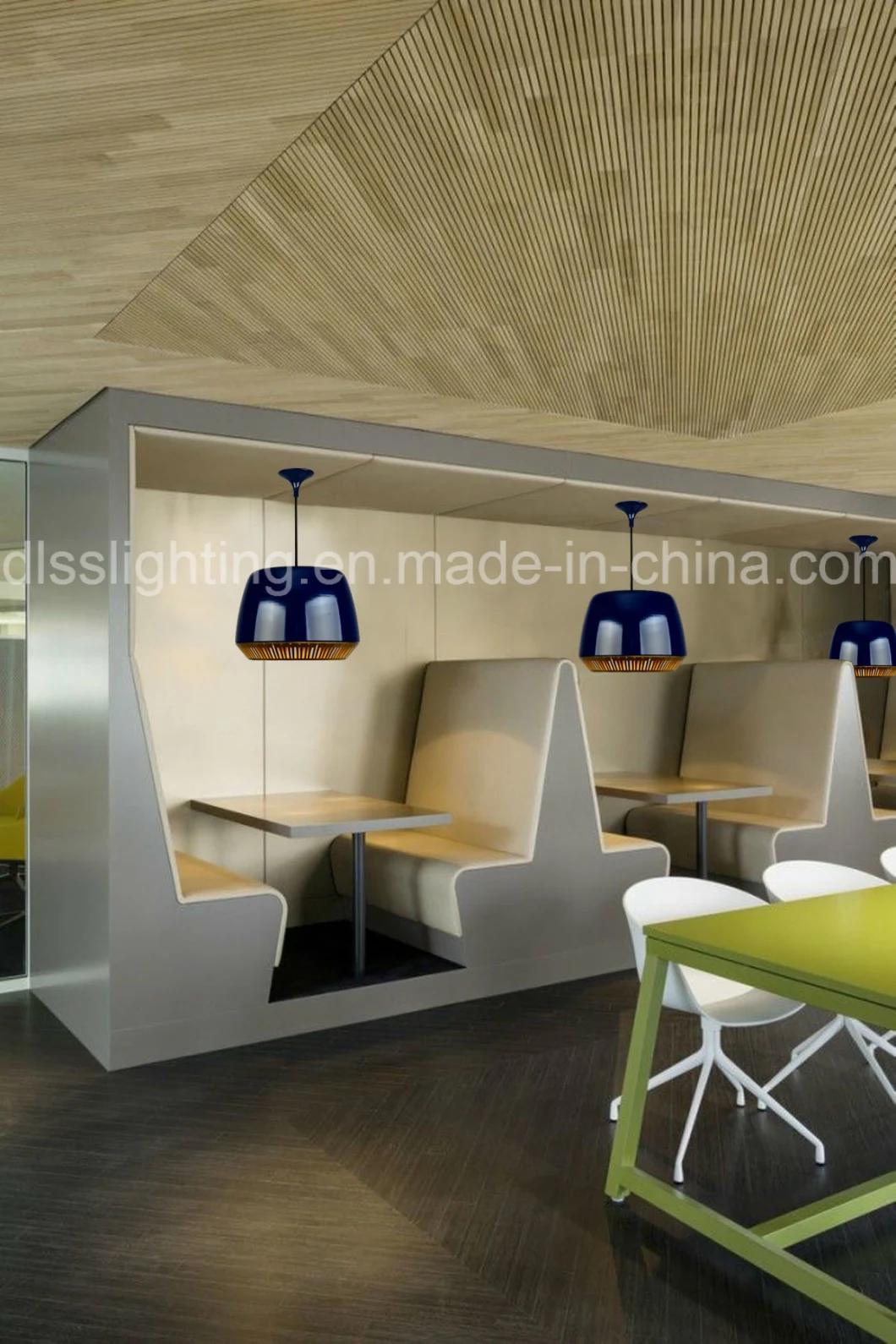 Decorative Modern Style Suspension Lamp Hot Sale Aluminum Pendant Light