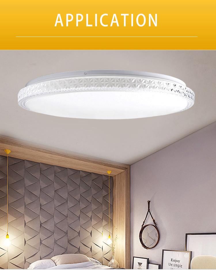 Round Fixture Flower Flat LED Ceiling Lamp