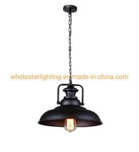 Metal Loft Pendant Lamp / Metal Pendant Light (WHP-2053)