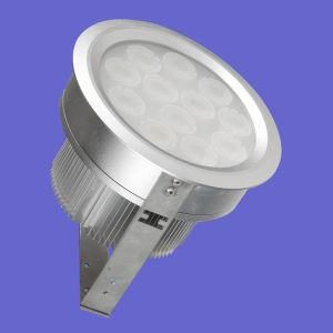 12W High Power LED Ceiling Light