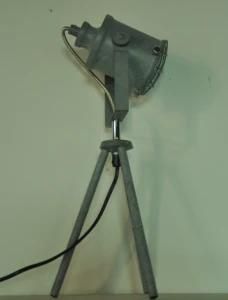 Spray Paint Grey Table Lamp with Elc Parts in Different Sizes