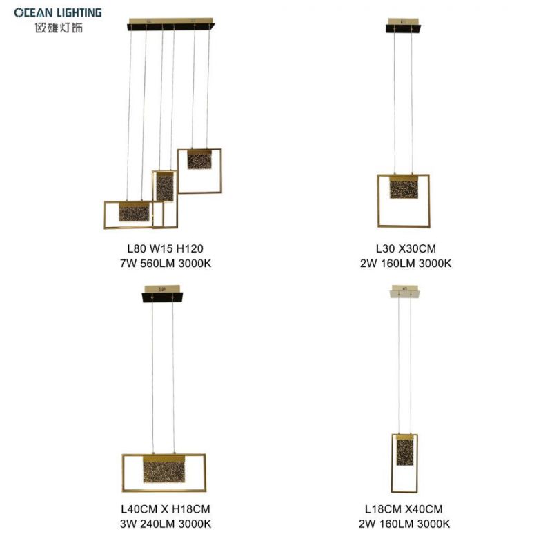 LED Simple Light Fixtues PVC and Metal Pendant Ceiling Lamp