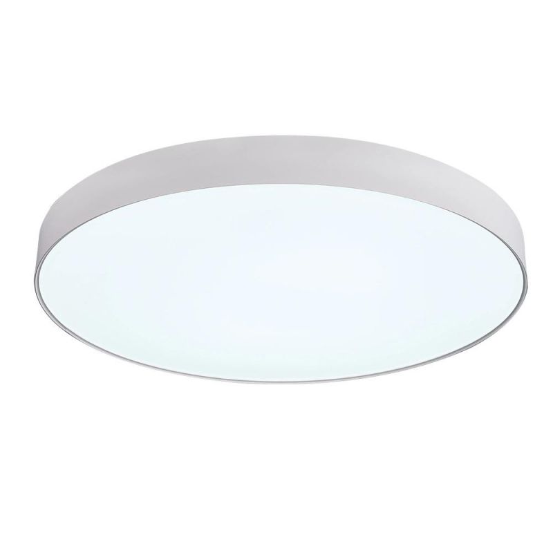 Nordic Smart Indoor LED Lighting Decorative Ceiling Light