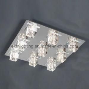 Ceiling Light (50309/9)