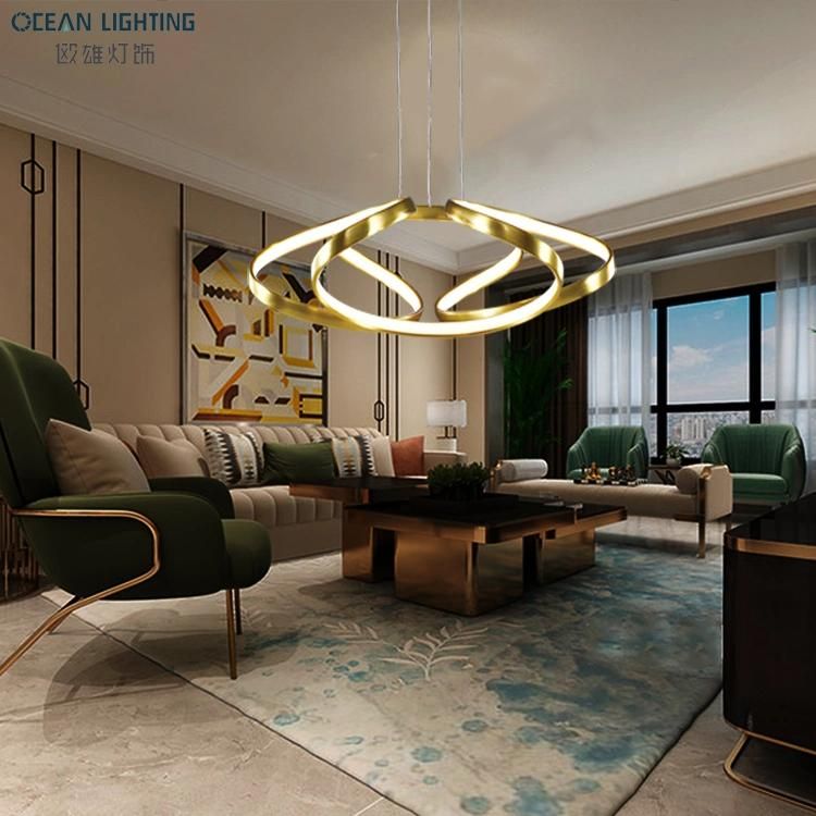 Modern Decorative Lighting Interior Hanging Lighting LED Pendant Light