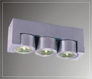 LED Ceiling Lights (LED-200613)