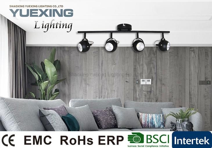 LED Indoor Ceiling Spotlight (L10091)
