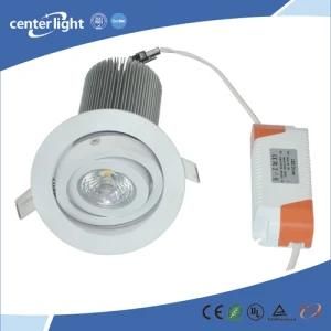 15W LED Rortable Spot Ceiling Light