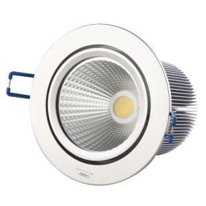 Newest 10W (QEE-T-0011000-B) COB LED Down Light