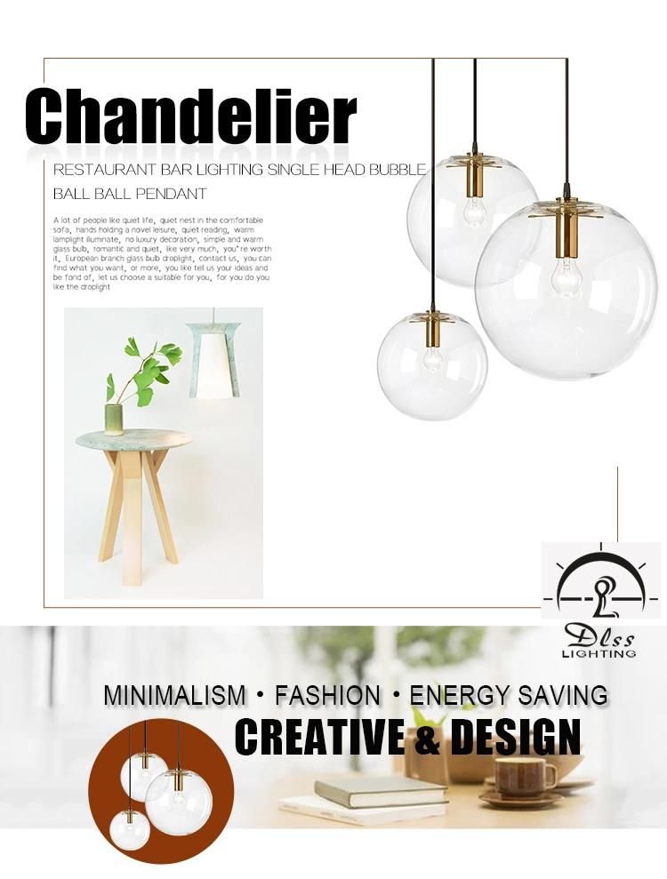 Simple Modern Indoor Hanging Clear Round Glass Pendant Light