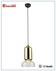 Modern Simple New Style Single Chandelier Pendant Lighting with Ce