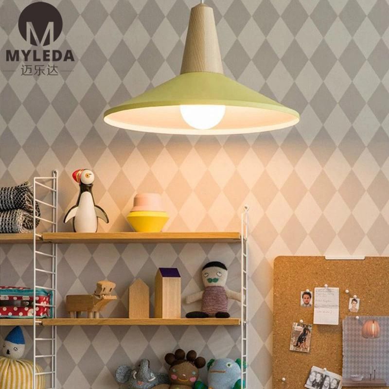 Colorful Hotel Project Decoration LED Pendant Lamp