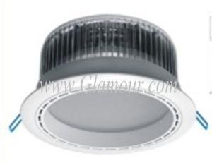 24W LED Downlight Ceiling Light