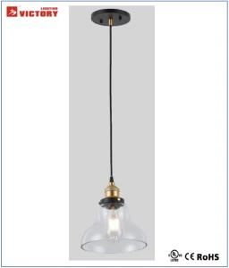 Decorative Modern Simple Glass Pendant Lighting H-3694-1
