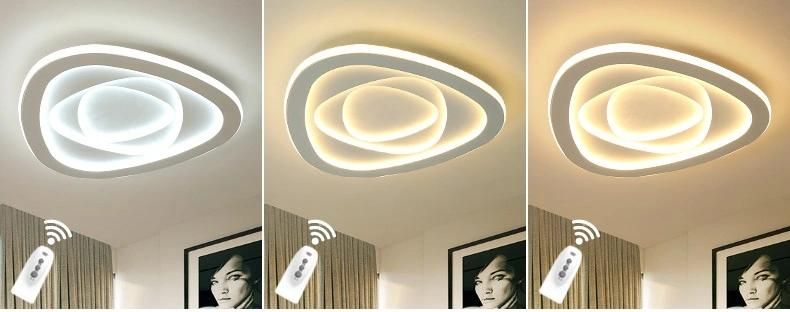 Modern White Energy Saving Round Acrylic LED Ceiling Light Zf-Cl-051