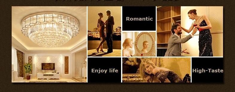 Home Decoration Luxury Crystal LED Ceiling Light Zf-Cl-001