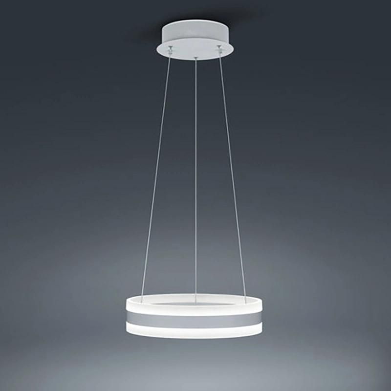 Modern Simple Circular LED Chandelier Dining Room Bedroom Study Lighting Zuo Modern Lighting