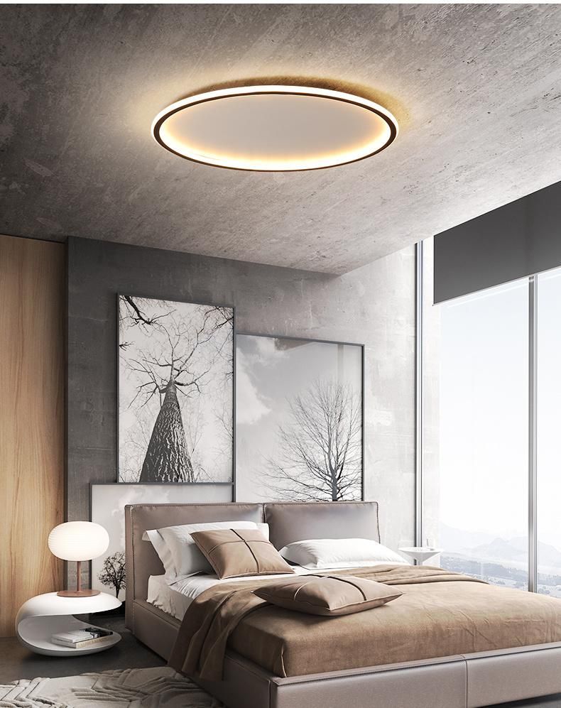 Modern Pendant Lamp Hanging for Room Indoor Light Acrylic Lamp