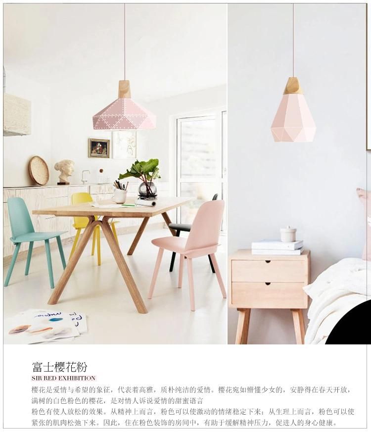 Modern Minimalist Design Wood Pendant Light Annelise Unique Jewel Scandinavian Pendant Light (WH-AP-331)