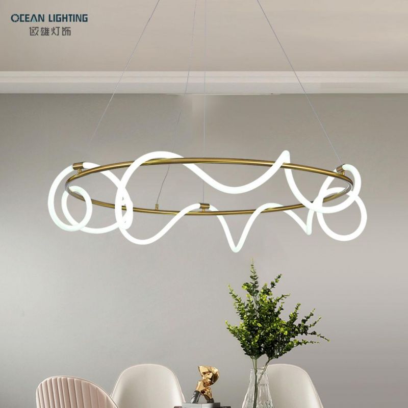 Acrylic Pendant Lamp Nordic LED Pendant Lights Om82097 Dia110*H30cm