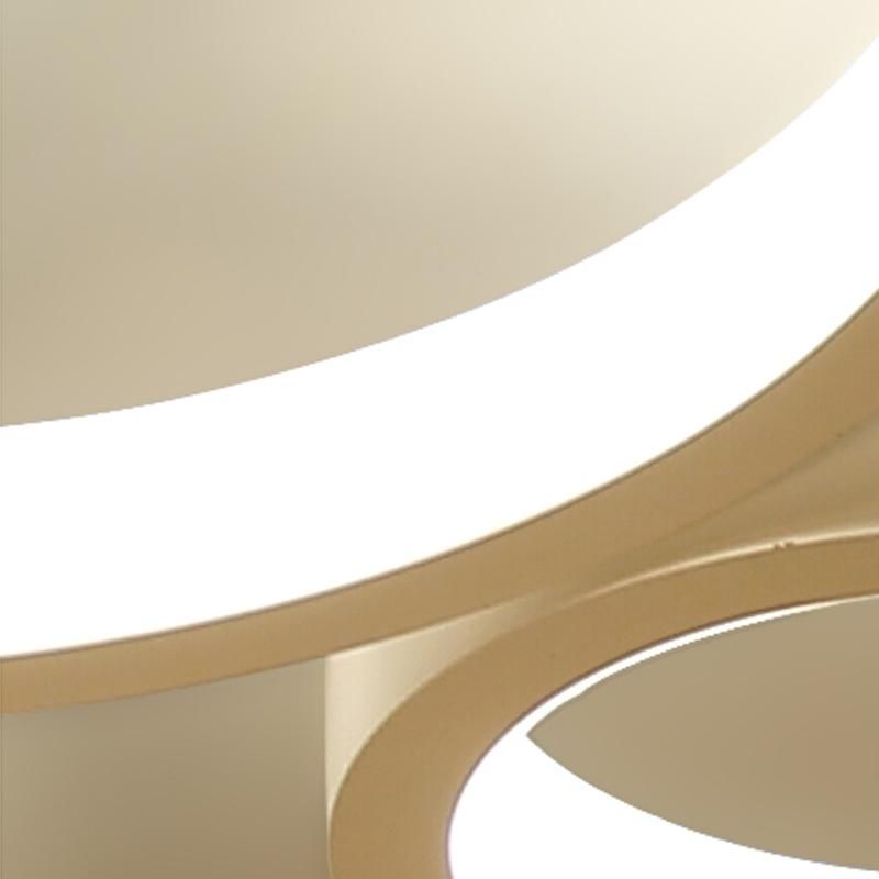 Simple Modern Creative and Individual LED Ceiling Light Household Circle Living Room Lamp
