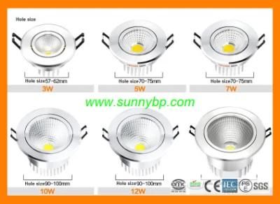Indoor LED Downlight for Home Buliding