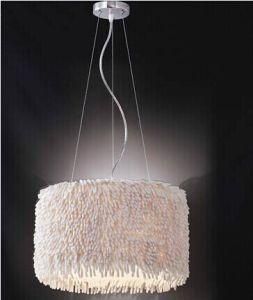 2014 Fashion Contemporary Pendant Lamp