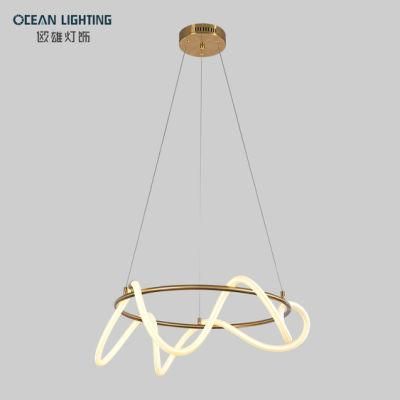 Fashion Modern Hot-Sale Pipe Pendant Lamp for Hotel &amp; Home