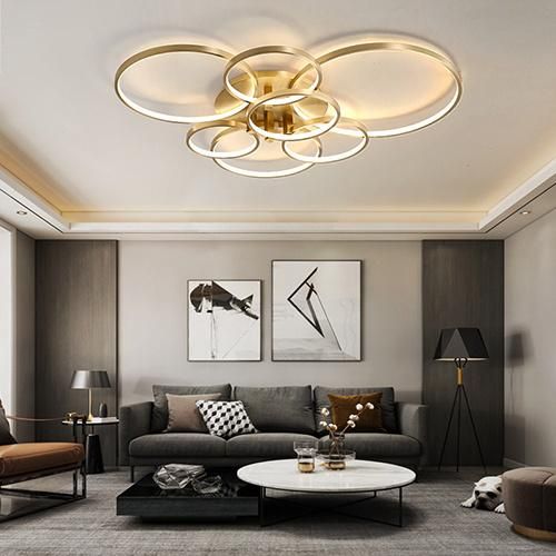 Home Lighting with 110V 220V Aluminum LED Ceiling Lamp for Bed Room Decoration