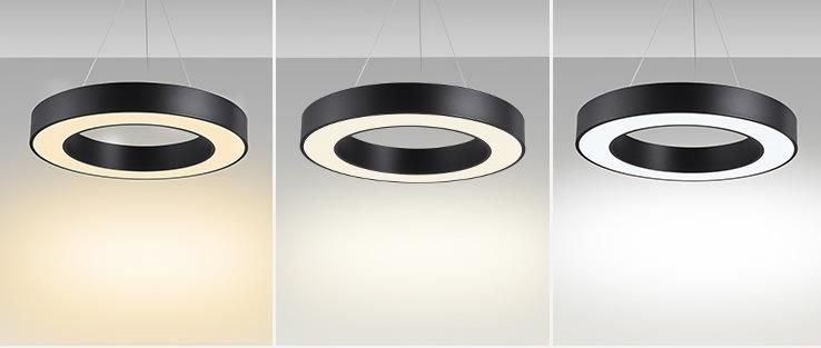 Round LED Pendant Lights Hanging Light Office Linear Light with Different Size Zf -Cl-075