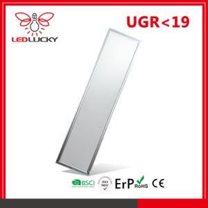 1200*300mm 42W ERP CE and RoHS Approved LED Panel Light