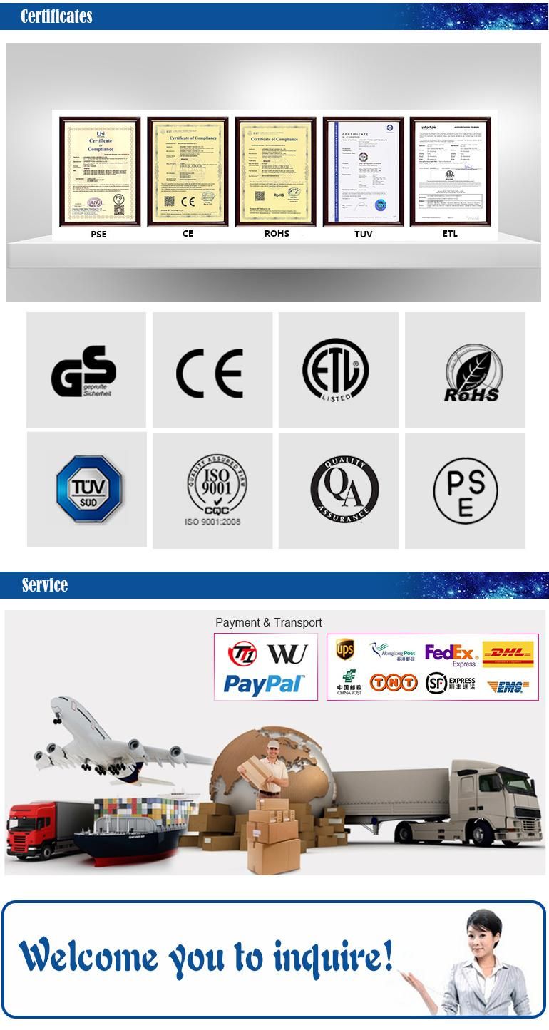 Recessed COB LED Lights Downlight