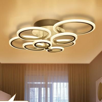 Interesting Modern Ceiling Lights Acrylic Lampshade for Indoor Home Lighting Fixtures (WH-MA-120)