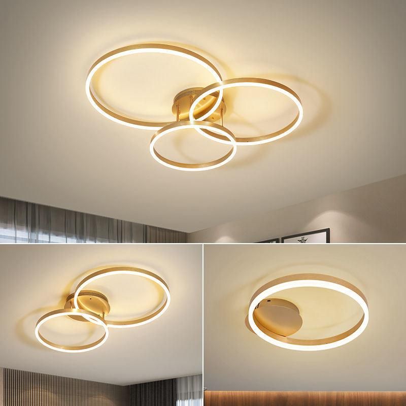 Hanging Lights Outdoorpendant Round Bedroom Display Restaurants Chandelier Light