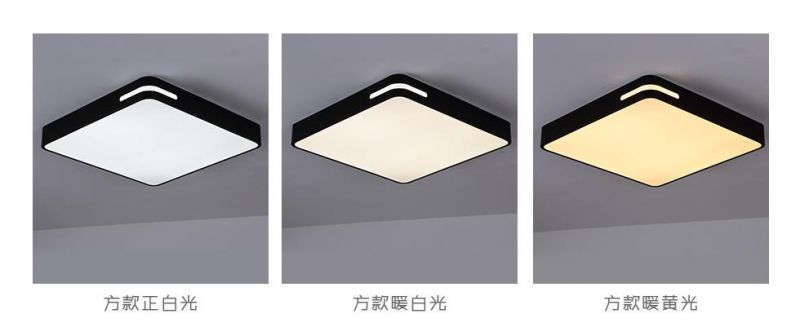 LED Round Down Lighting Iron Living Room Bedroom Wall Lamps Panel Ceiling Lighting