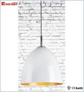 Energy-Saving Simple Round Aluminum Shade Pendant Lamp