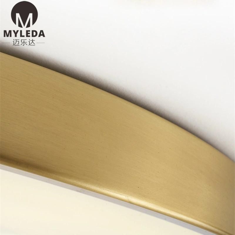 Wall Mounted Lamp Round 20W LED Ceiling Mount Light