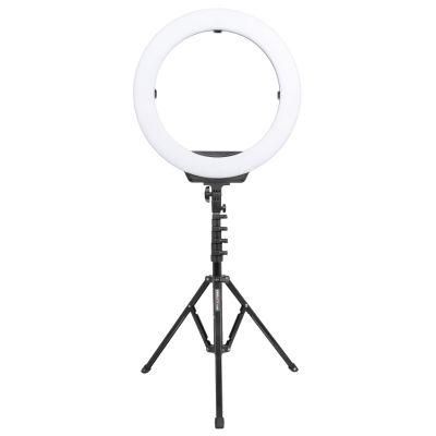 Custom Brand 19 Inch LED Ring Light Portable Photo Studio Photography Ring Light with Tripod Stand