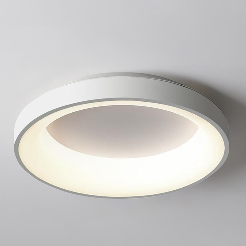 Simple Concise Style Living Room Lamp Ceiling Lamp Restaurant Lamp Bedroom Lamp
