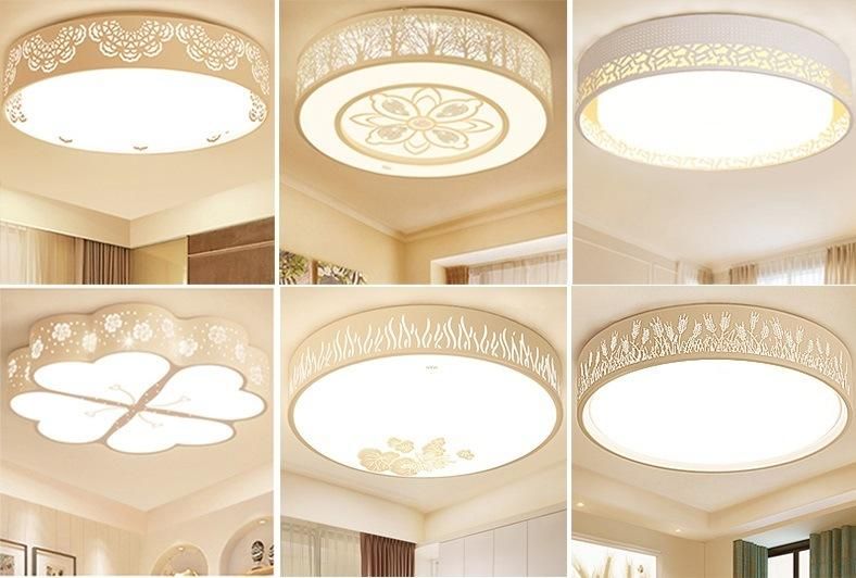 Modern Art Round Acrylic LED Chips Ceiling Lighting for Apartment Zf-Cl-043