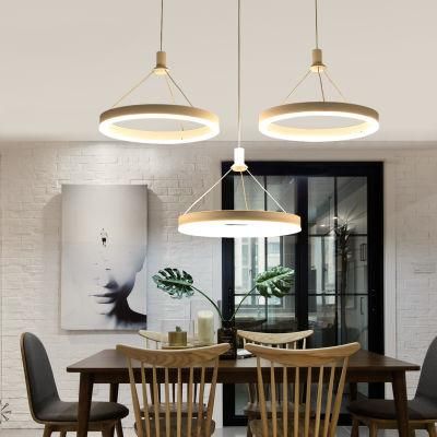 Kitchen Pendant Drop Lighting Fixtures for Indoor Home Fixtures (WH-AP-10)