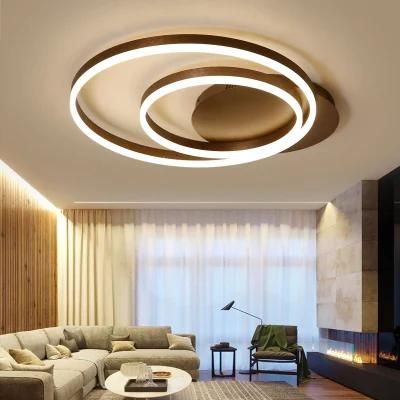 Ring Black Ceiling Lamps for Indoor Home Decorate Ceiling Lights (WH-MA-92)