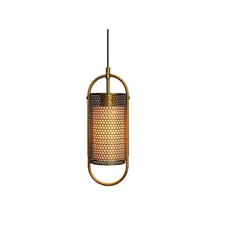 Nordic Pendant Lamp Loft Luxury Katryn Industrial Oval Capsule Mesh Cage Pendant Lamp (WH-AP-294)