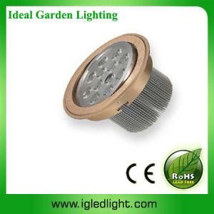 IG-LED Ceiling Light 12*1W