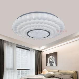 Ceiling Light